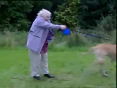 To play fetch
