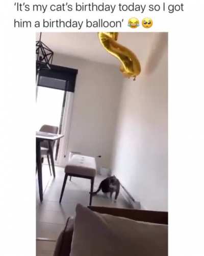 Birthday Gift ?