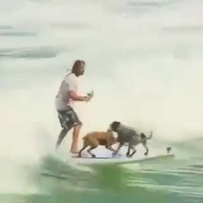 F*cking Awesome