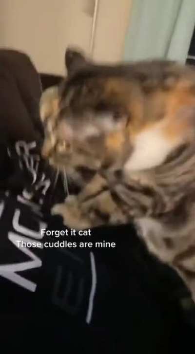 Someone's jealous