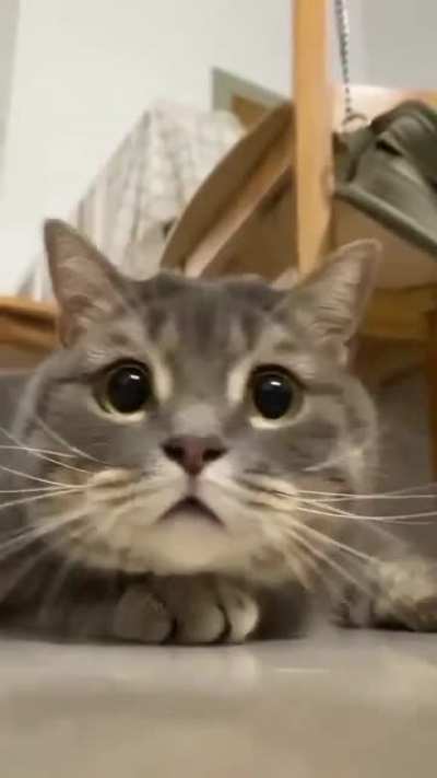 Those eyes