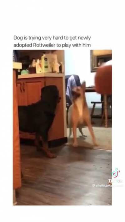 "did we just become best friends?"