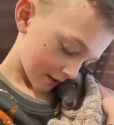 A boy calms down a frightened puppy