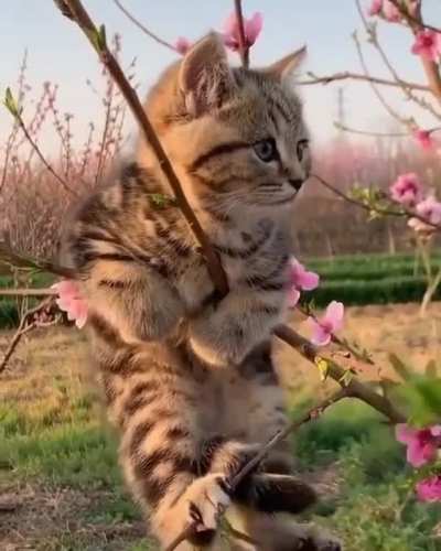 "I'm a flower now"