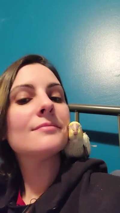 Please excuse my face being in the video, but this was the day I brought Suki home. She instantly won my heart ?
