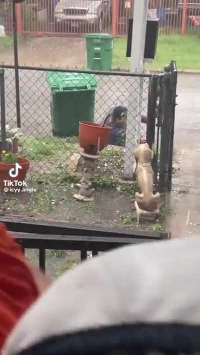 to walk in the rain