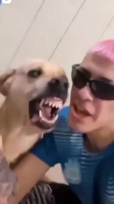 anyone knows which song this is??