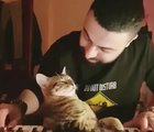 Pure Bliss