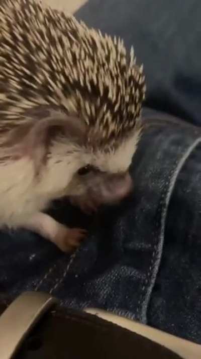 Wat are u doing Stephog?!