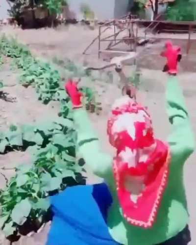 imagine seeing this at night