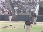 Bird meets baseball