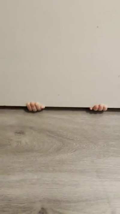 Hide and seek