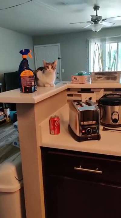 Friend sent me this