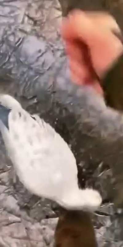 WHAT the actual f*ck!