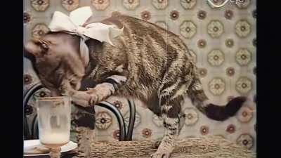 Milk taps