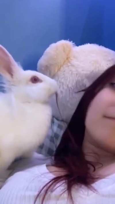 WCGW letting your rabbit chew on your hair