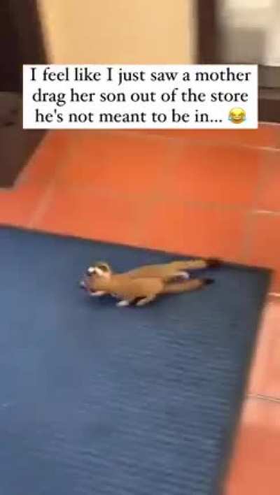 “You are NOT supposed to be in here ??