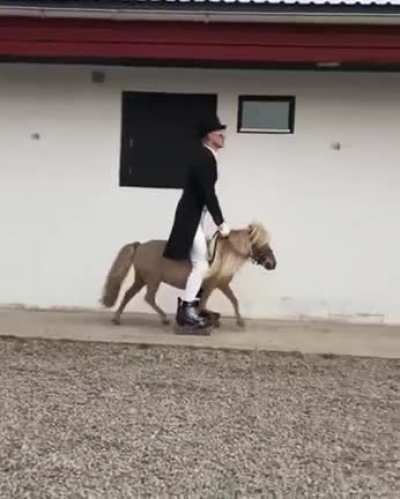 1/2 horse power