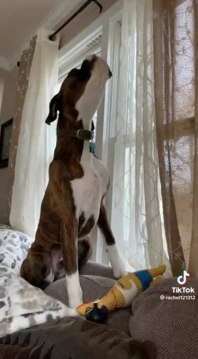 If I could sing this well, I might be doing it for a living!