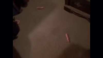 Hotdogs