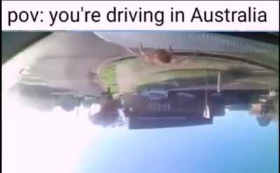 thats a fat one