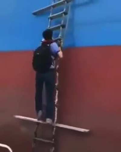 Pilot boarding a ship
