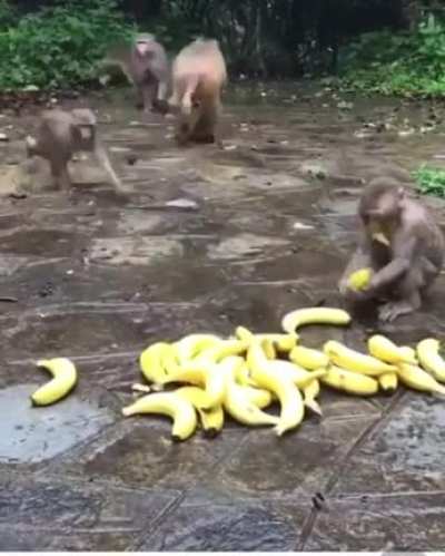 What are they scared of ????wow