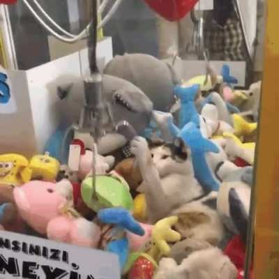 Claw machine