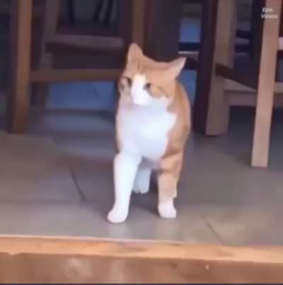 “OH NO”
