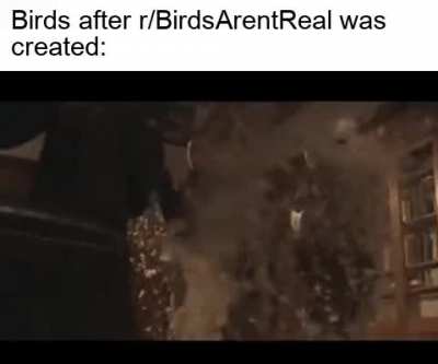 they were right all along