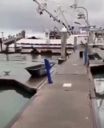 Time to clear the docks!