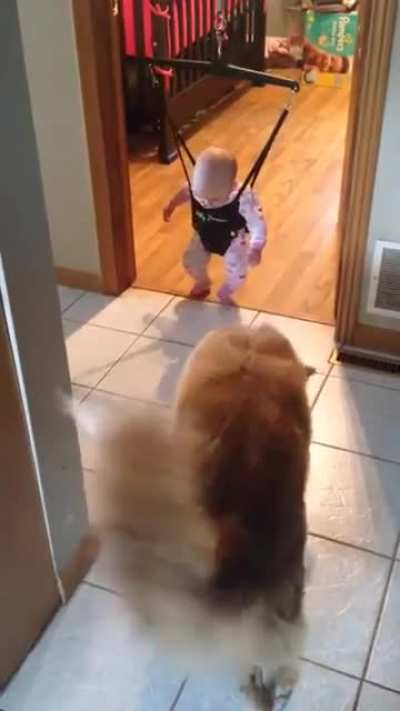 "This is how you do it. Follow my lead..."