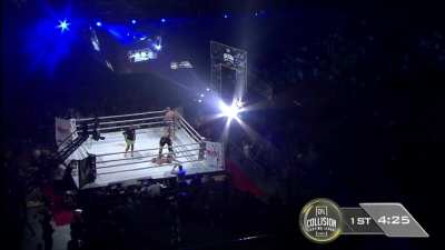 MMA fail