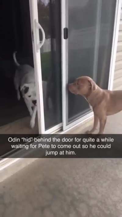 Dude you know I can see you right??
