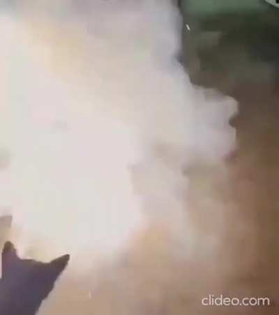 Terrorism