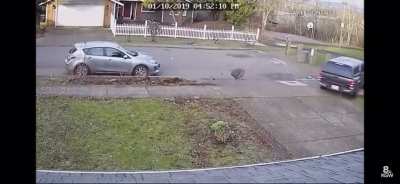 Robbing a guy at gun point then getting run over