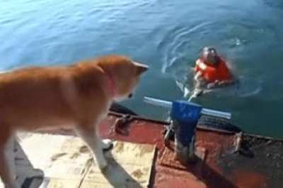 "Remember that time you pretended to throw the ball?"