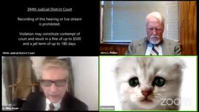 Just your usual court case online