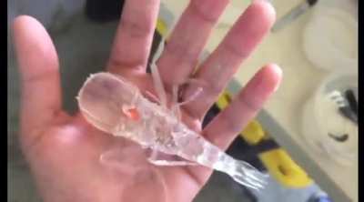 ? A scientist from Oregon found this sea creature called Cystisoma