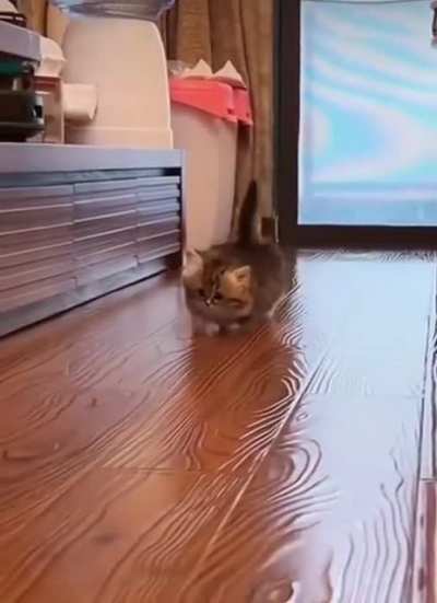 So cute?