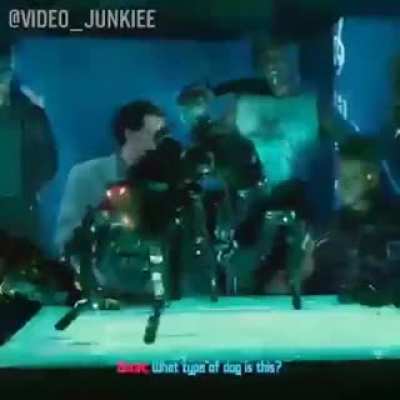 Borat 2077 ??