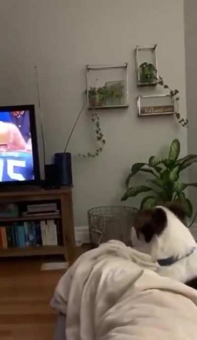 When you're watching 'Rudy' and your dogs name is Rudy.