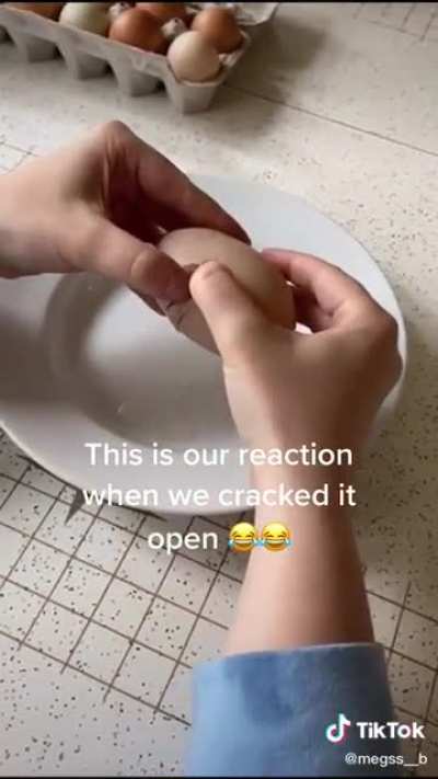 Hen lays 150g egg