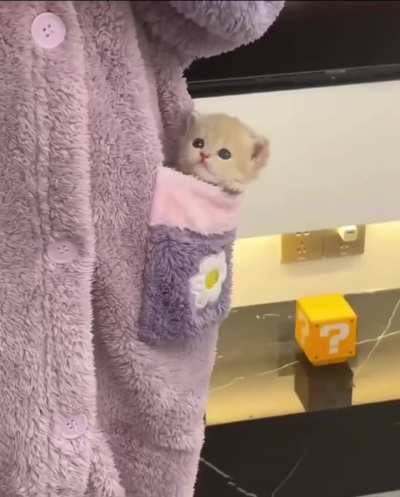 Michael has his own warm mobile home
