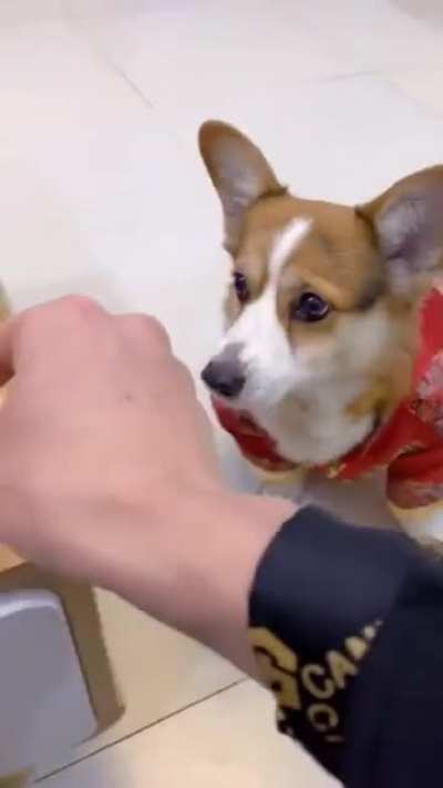Maybe maybe maybe