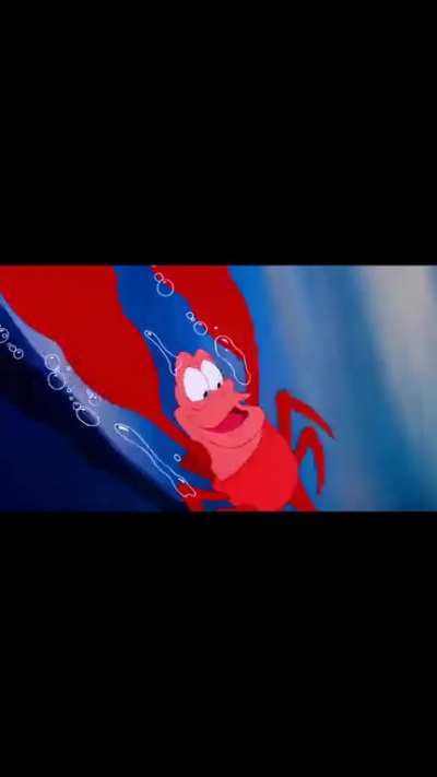 Under The Sea ? ? ?✨️