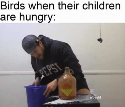 tabasco sauce