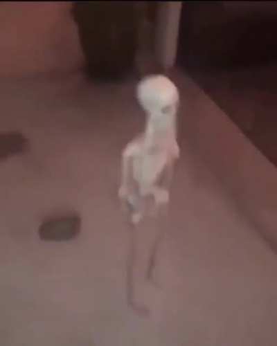 ☠️