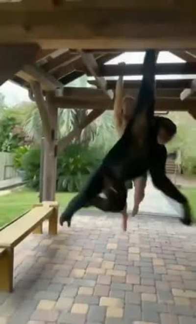 I love how the chimpanzee pauses to look back & see how Connor is doing: Connor McCabe