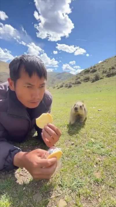 Maybe maybe maybe